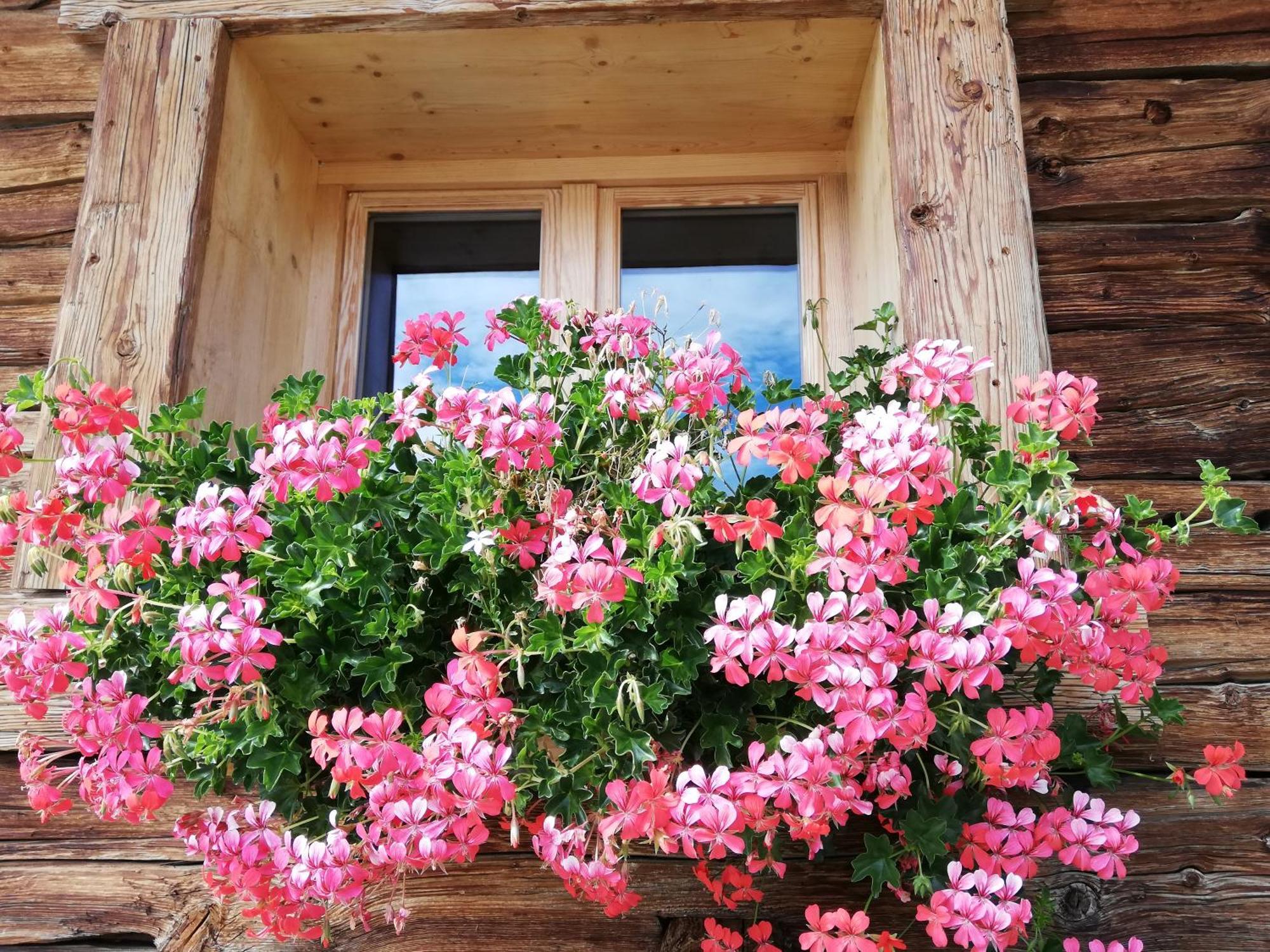 Chambres Et Tables D'Hotes Le Choton A Nono - Col Du Joly Beaufortain Hauteluce Exterior foto